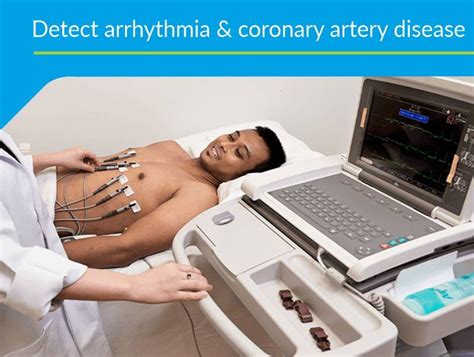 What Is 2D EchoTest: Know Uses, Test Results, How To Read It.